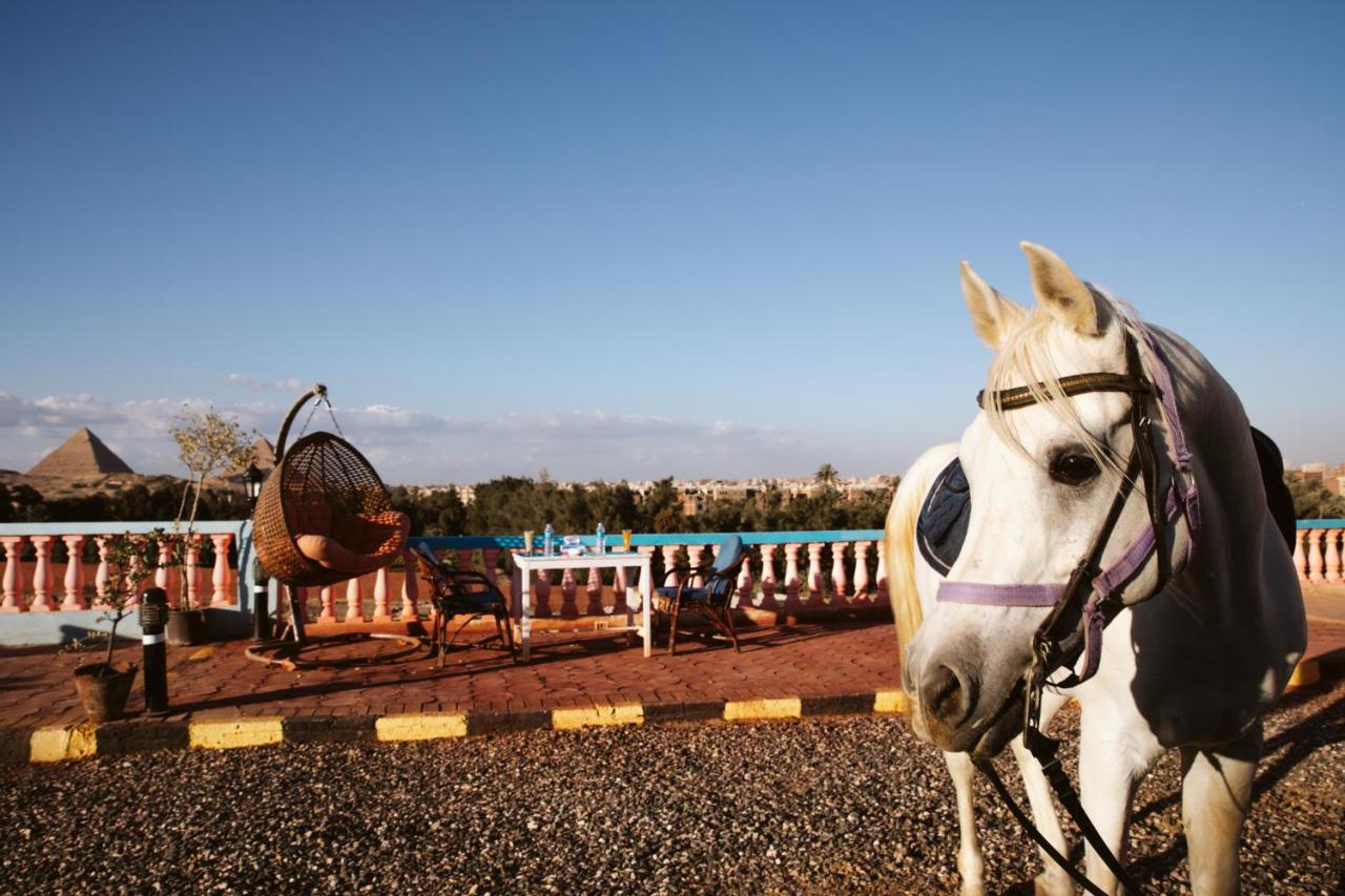 Heru Pyramids View Hotel Cairo Exterior photo